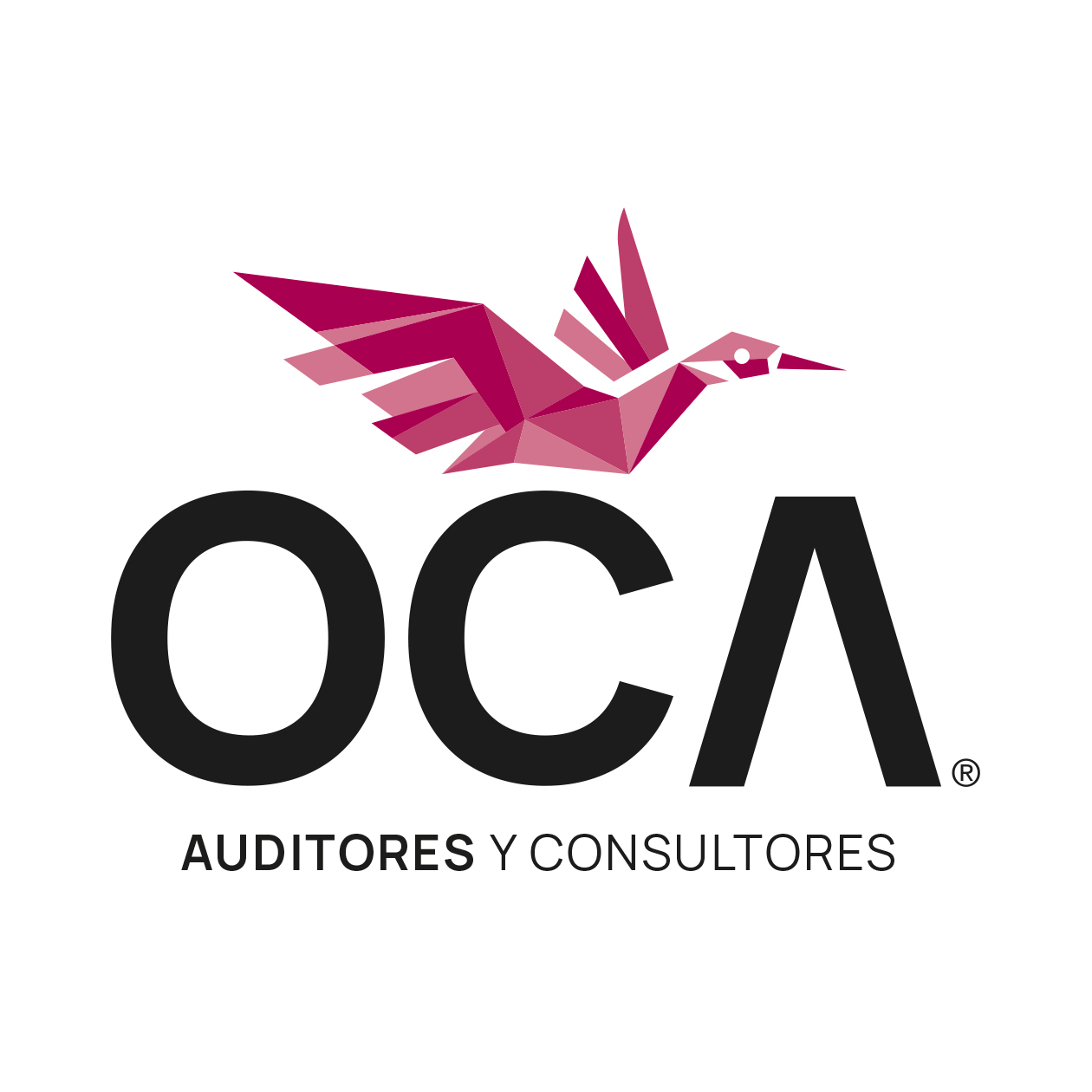 Ofelia Cámara Despacho de Contadores y Auditores
